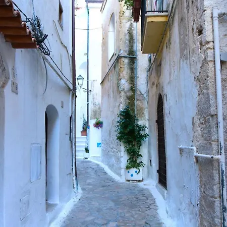 Casa Geo Sperlongaresort *